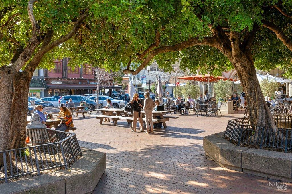 146 Morning Sun Avenue