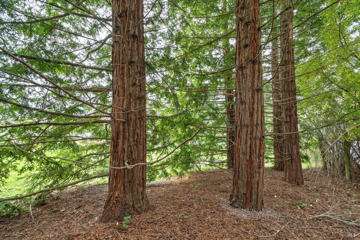 6363 Pond Hollow Road