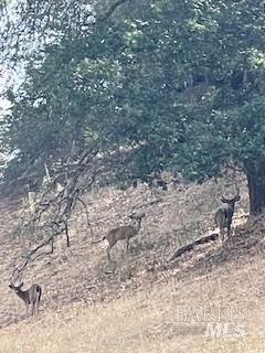 11950 N Eagle Rock Road