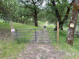 11950 N Eagle Rock Road