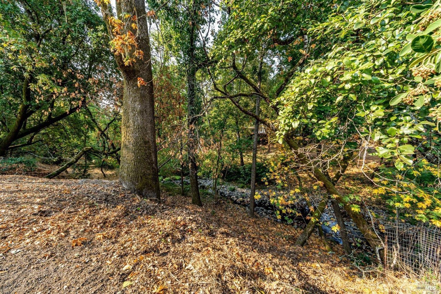 1513 Warm Springs Road