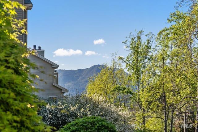 118 Eucalyptus Knoll Street