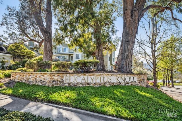 118 Eucalyptus Knoll Street