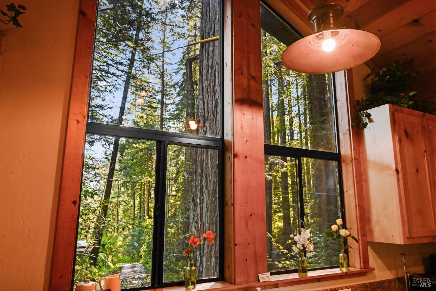 9 Huckleberry Heights