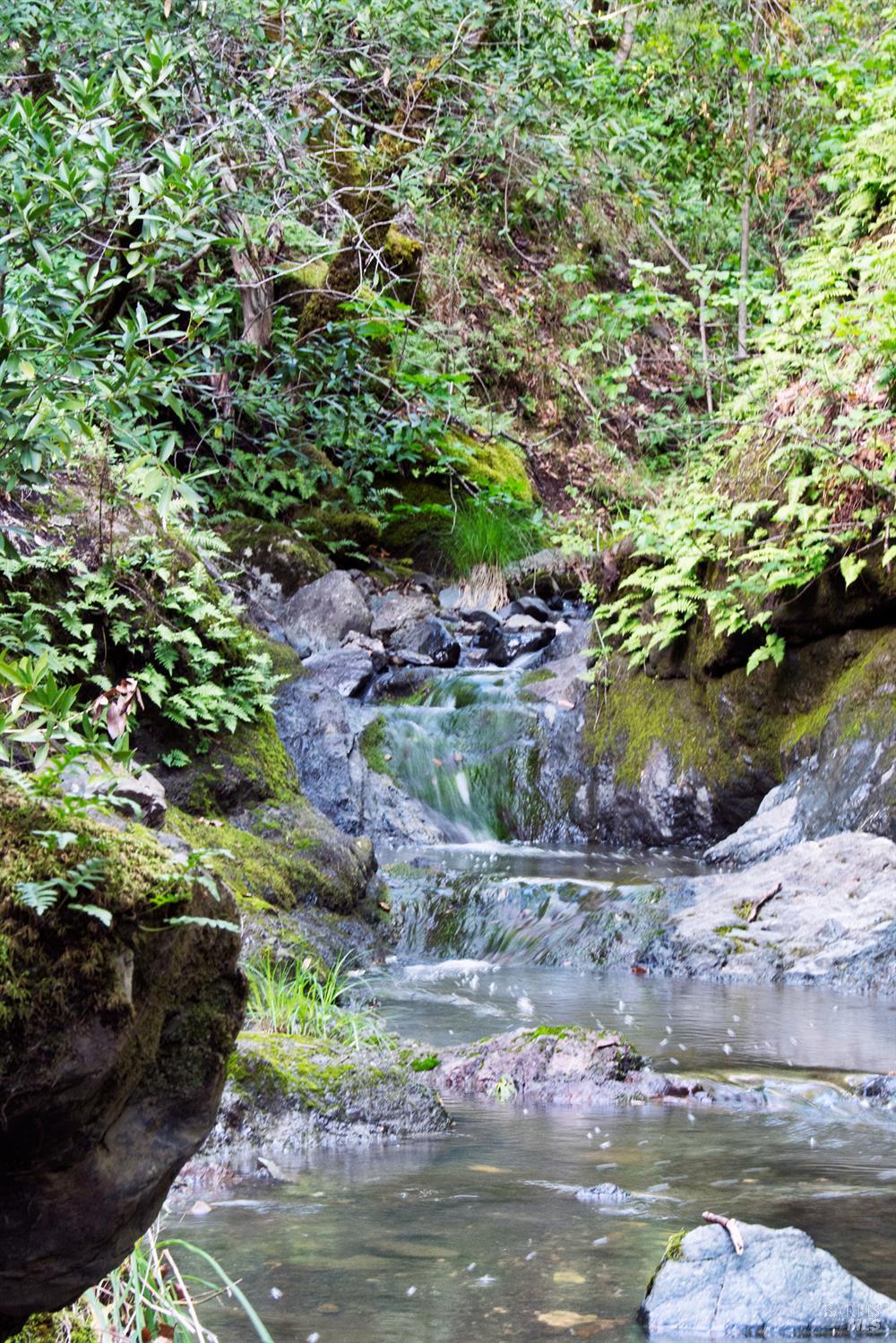 2700 Geysers Road