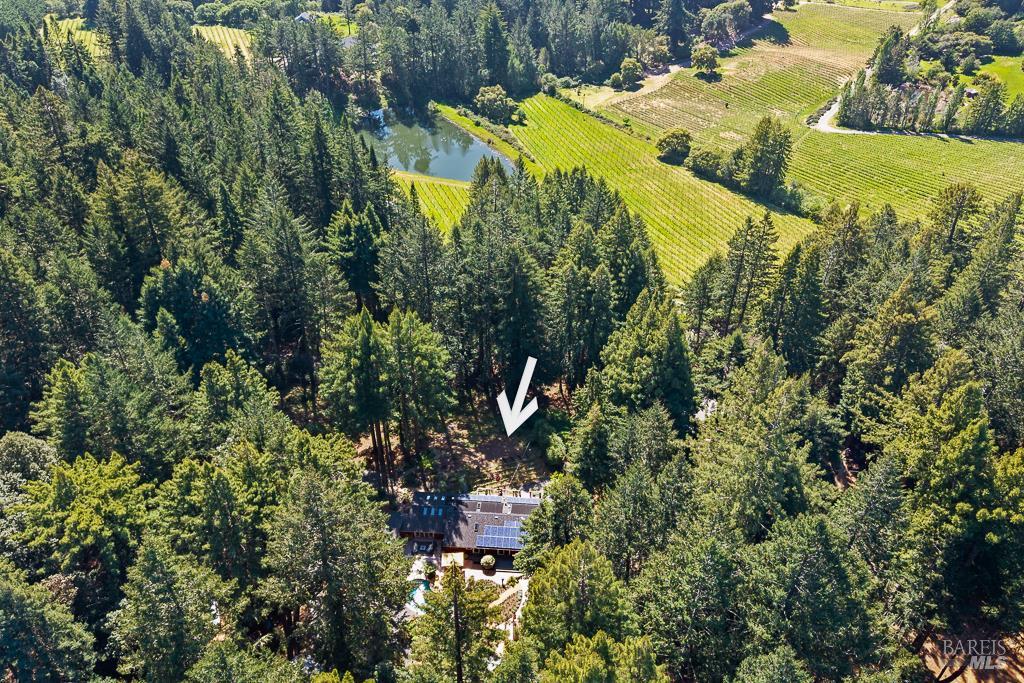 17600 Willow Creek Road