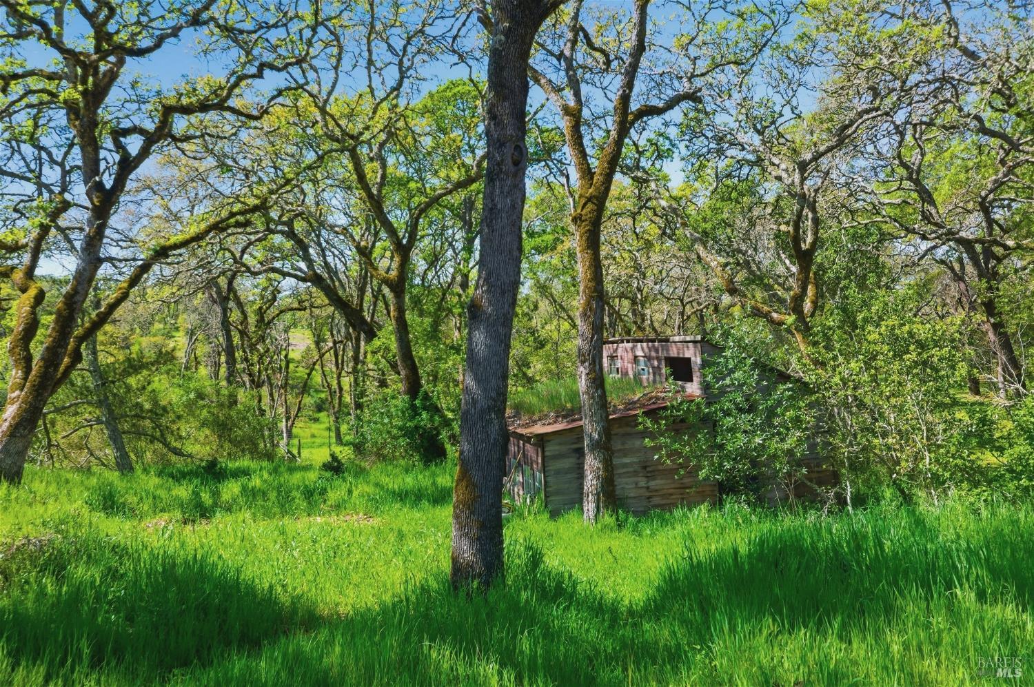 3575 Wood Valley Road
