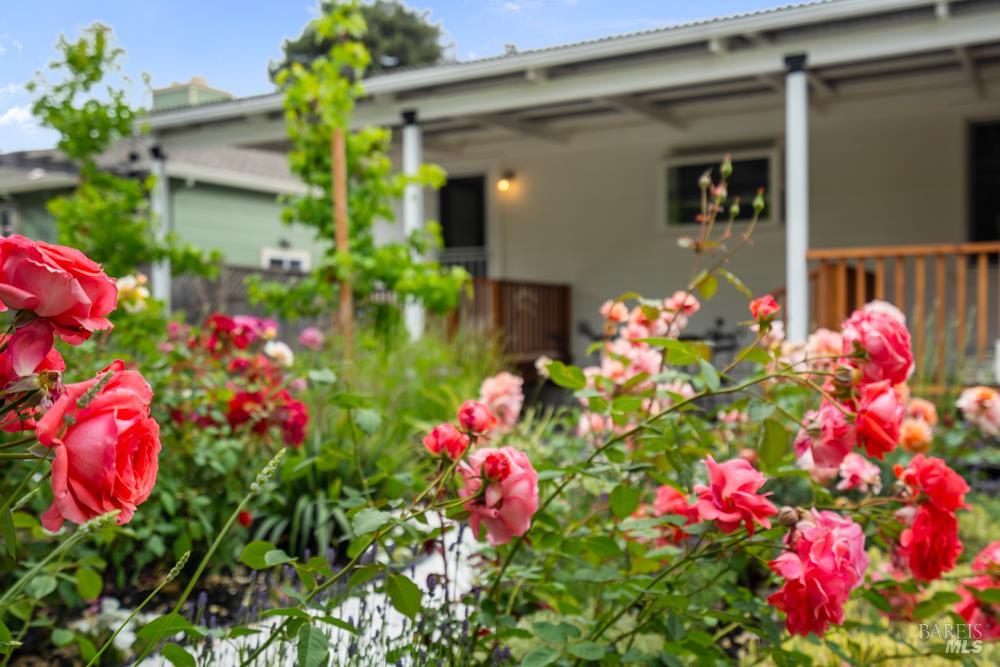 42 Billou Street