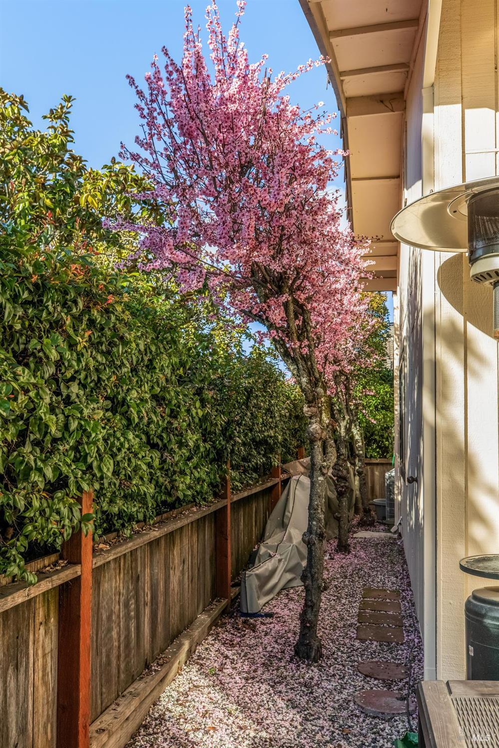 920 5th Street W Unit: #D