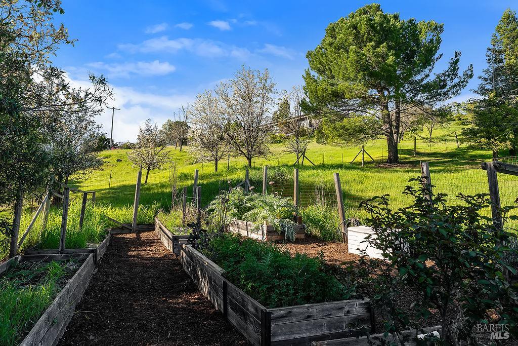 23121 Vineyard Road