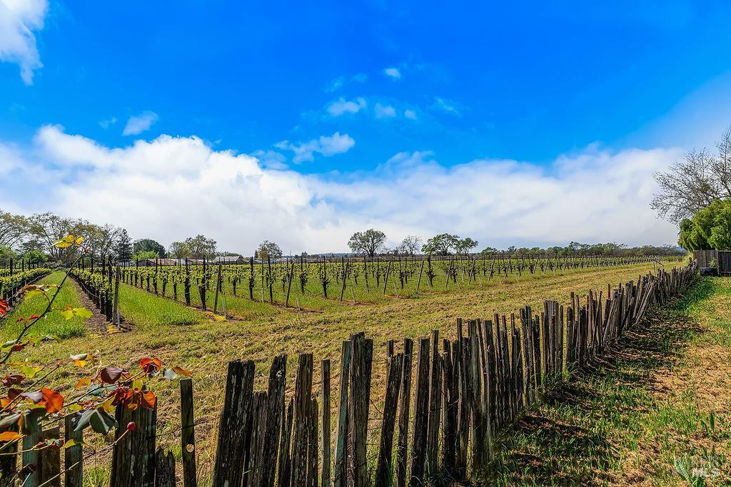878 Pauline Court