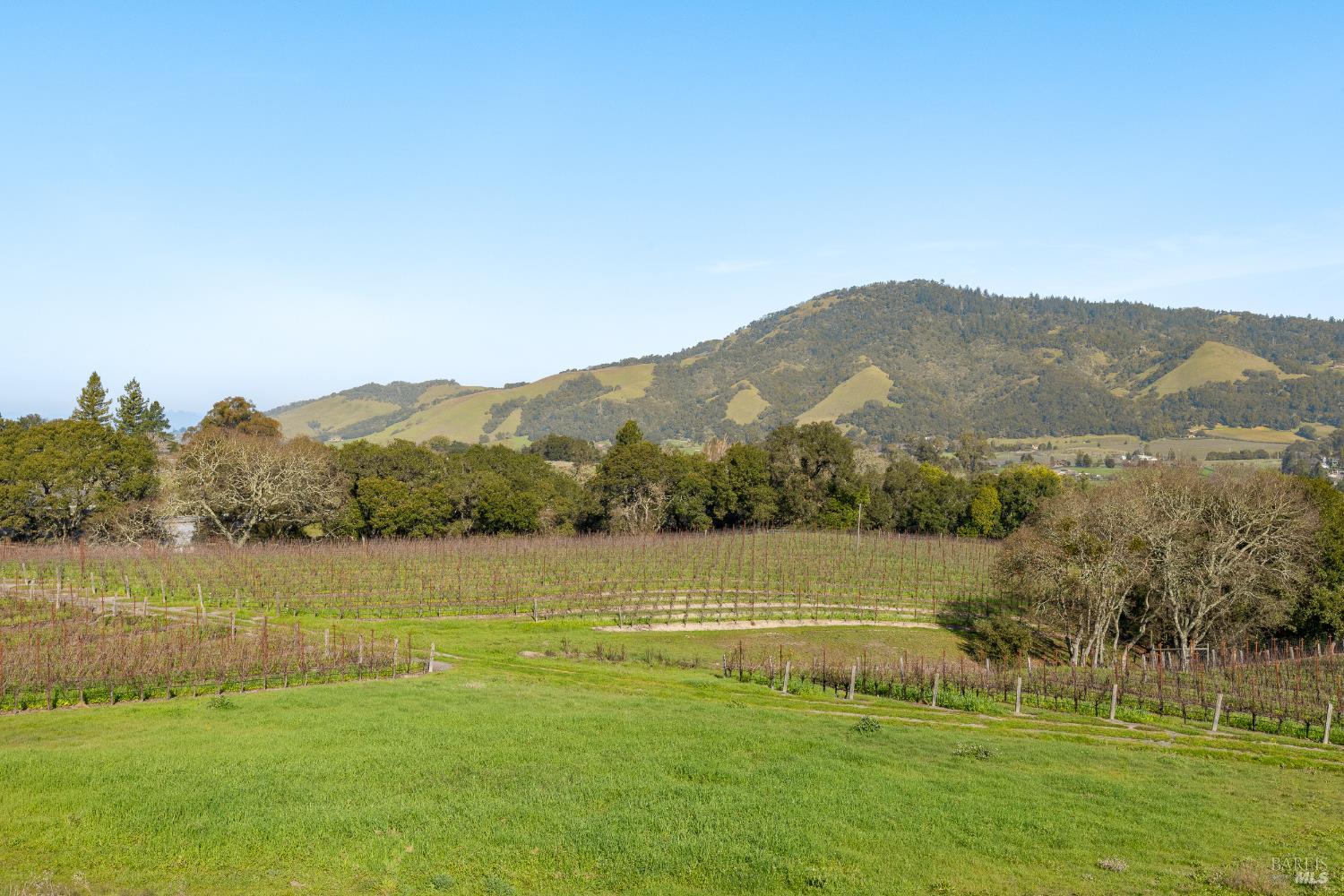 6550 Sunny Meadows Trail
