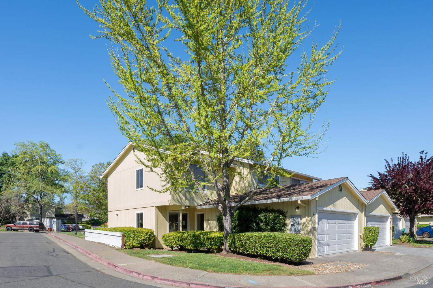 74 Salvatore Drive