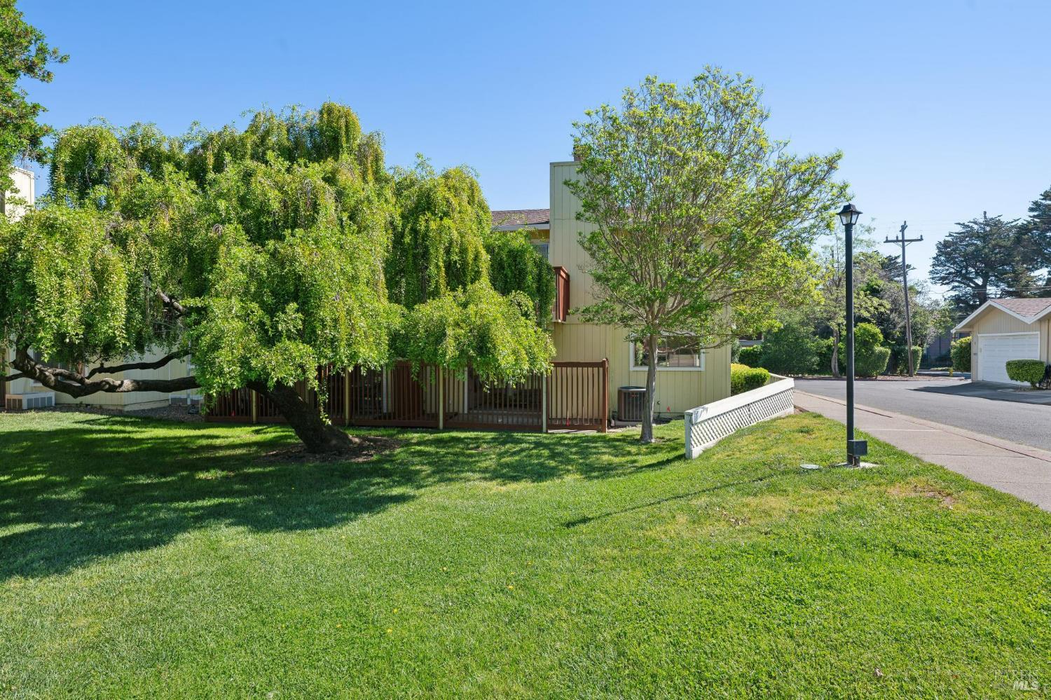 74 Salvatore Drive