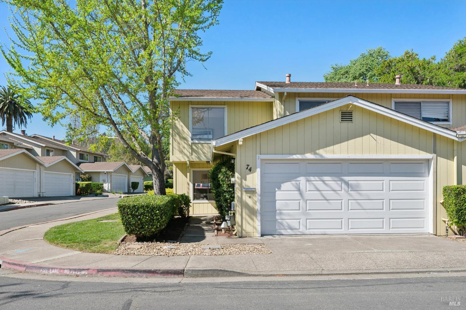 74 Salvatore Drive