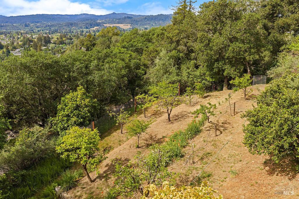 1212 N Fitch Mountain Road