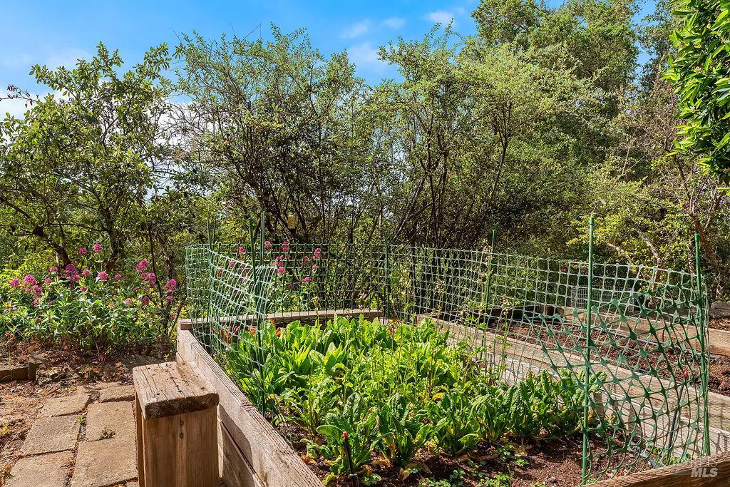 1212 N Fitch Mountain Road