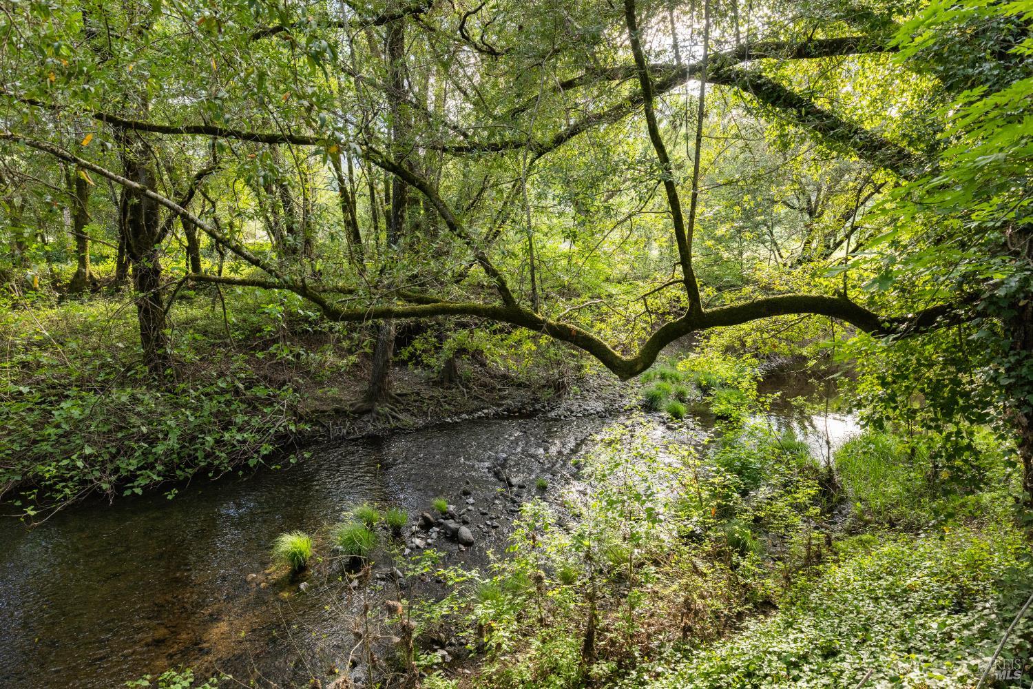 3000 Warm Springs Road