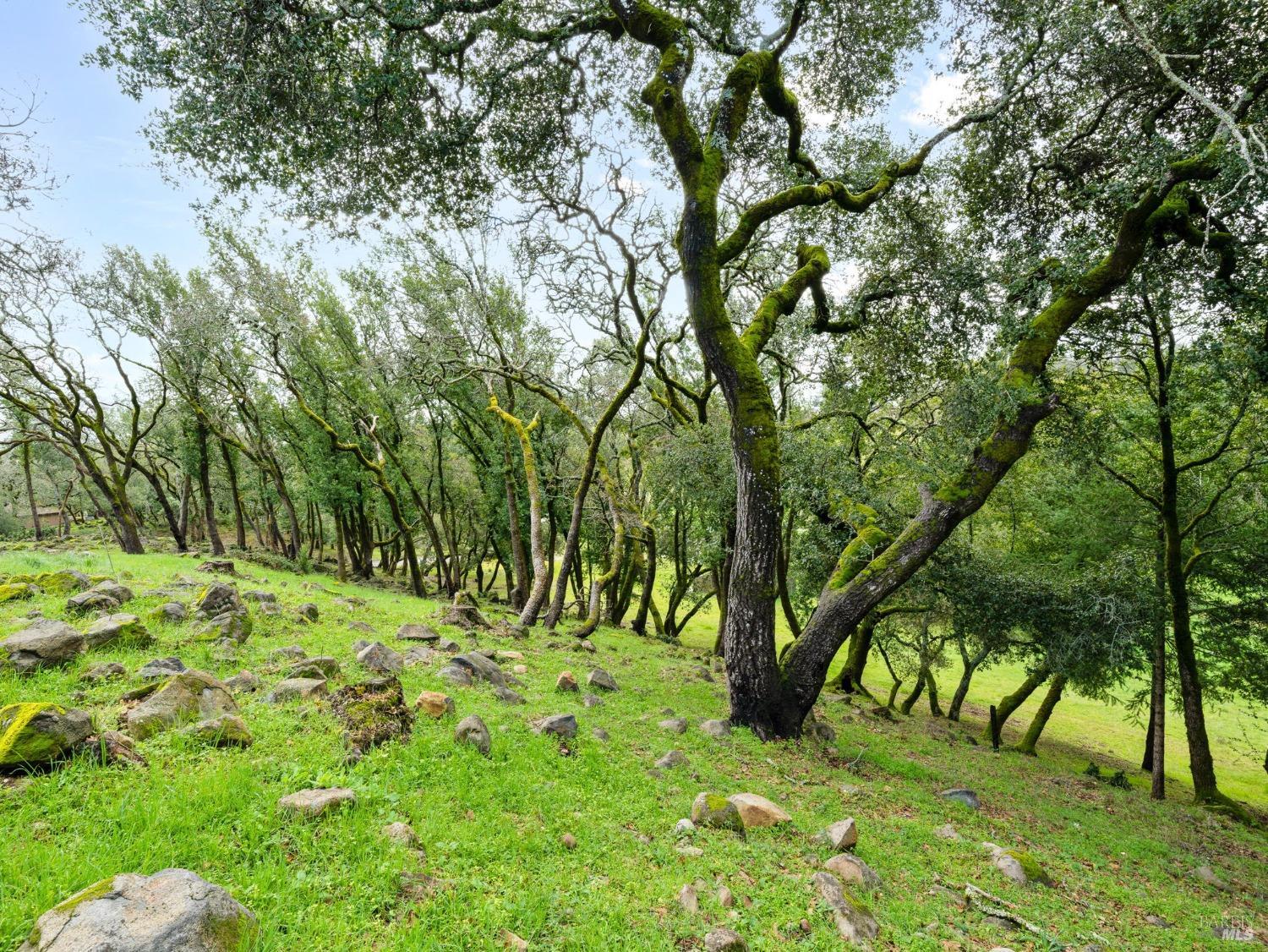 2924 Old Bennett Ridge Road