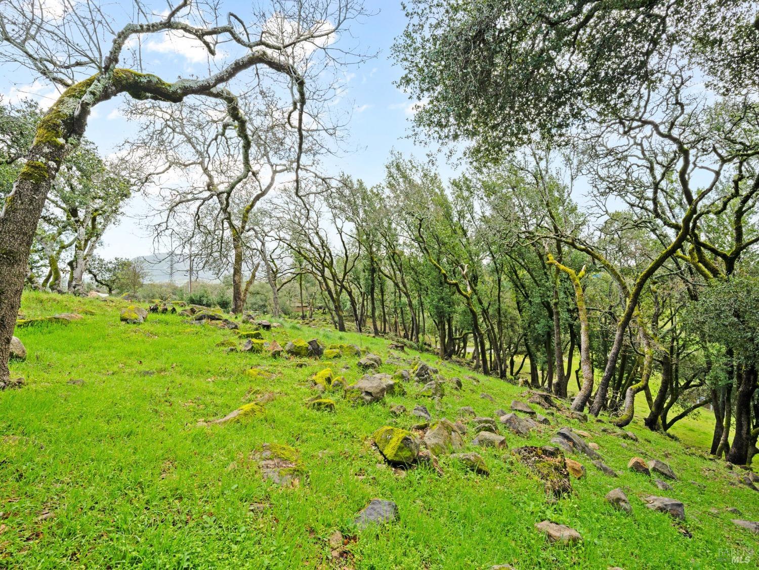 2924 Old Bennett Ridge Road