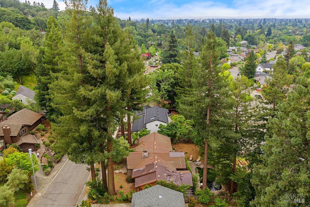 2425 Rancho Cabeza Drive