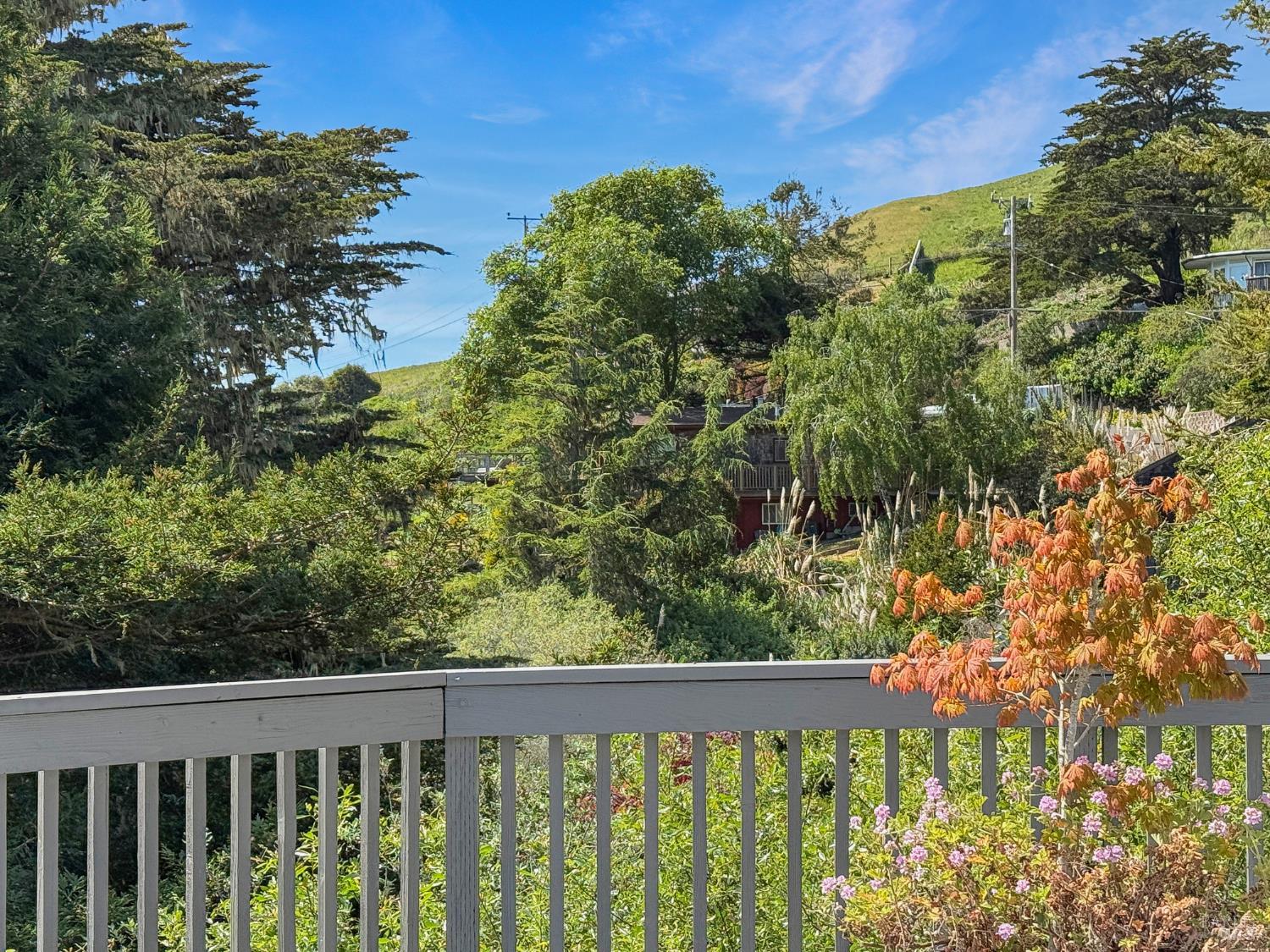 10777 Rock Point Drive