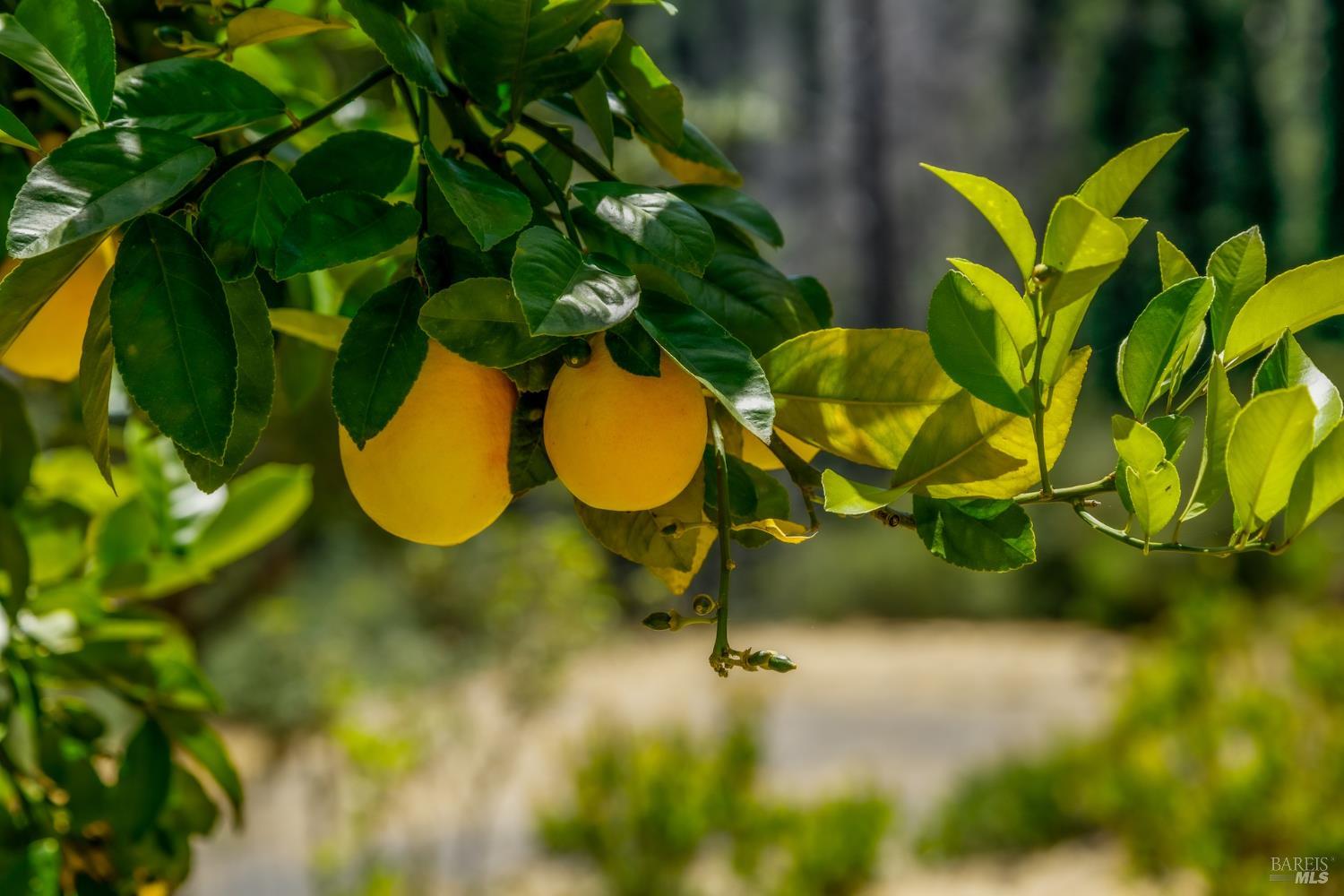 6600 Mill Creek Road