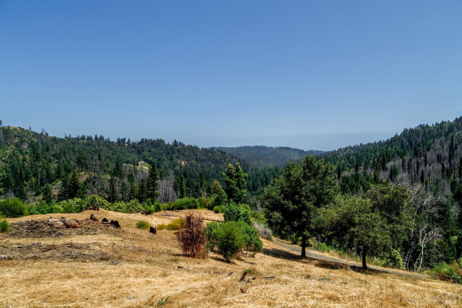 Rural acreage with a dry clearing overlooking a forested valley and rolling hills.