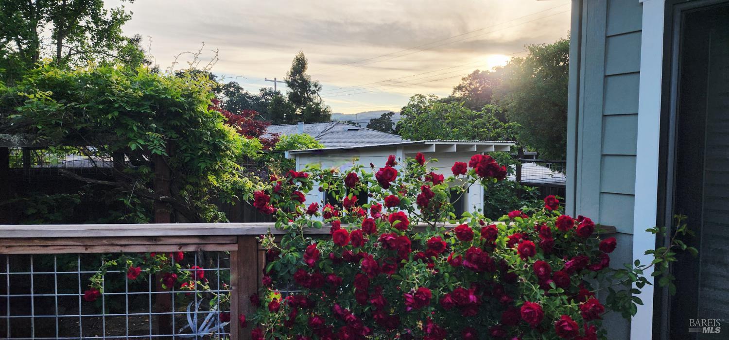 710 E Thomson Avenue