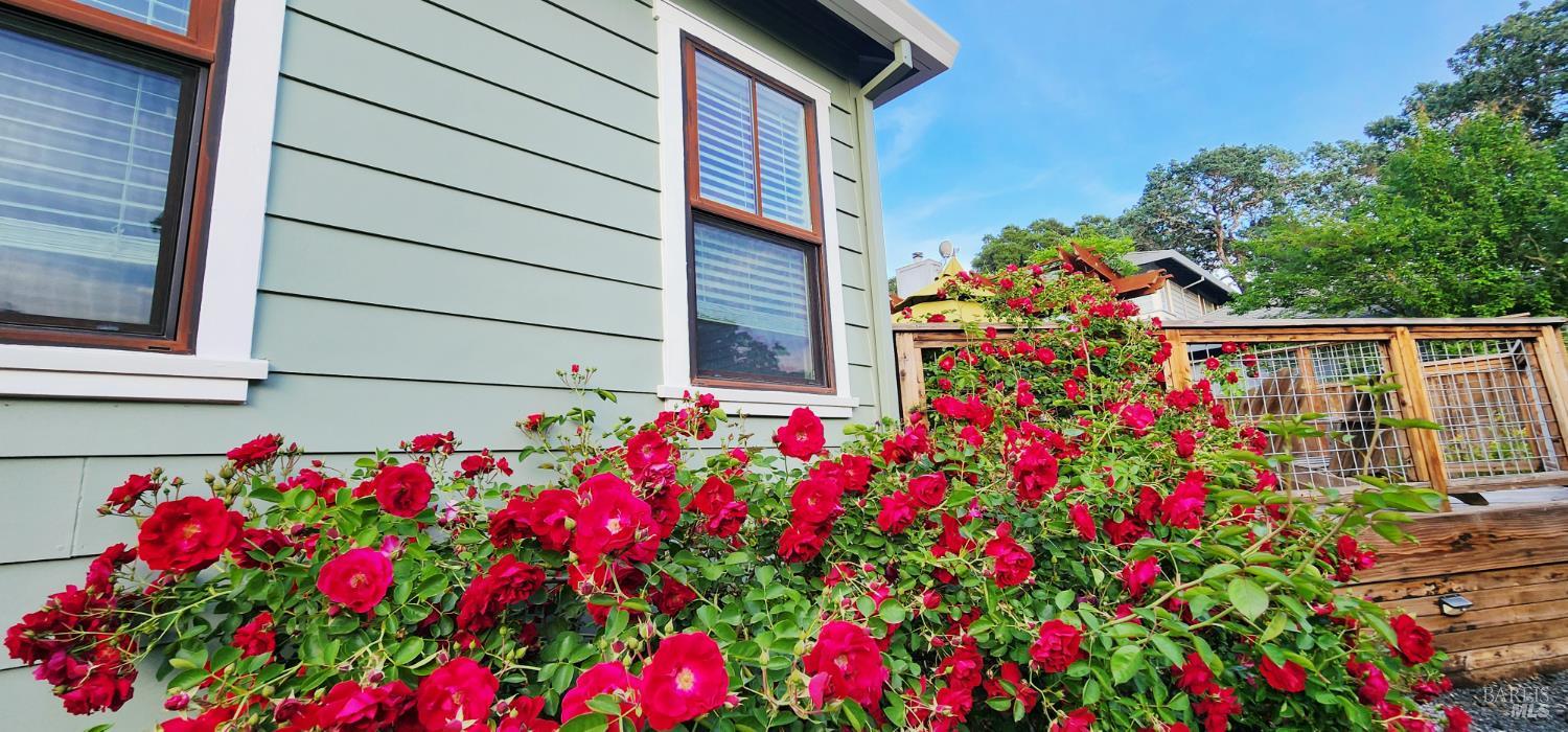 710 E Thomson Avenue