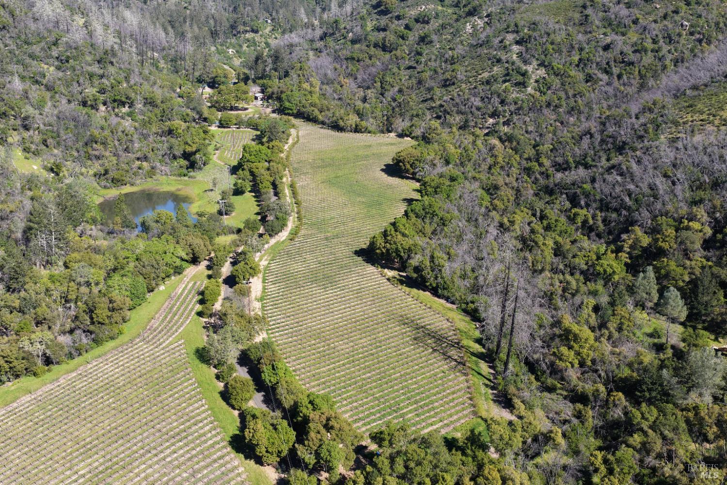 255 Dutch Henry Canyon Road