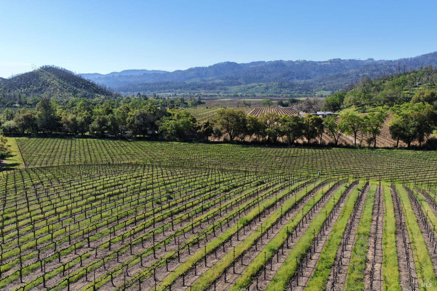 255 Dutch Henry Canyon Road