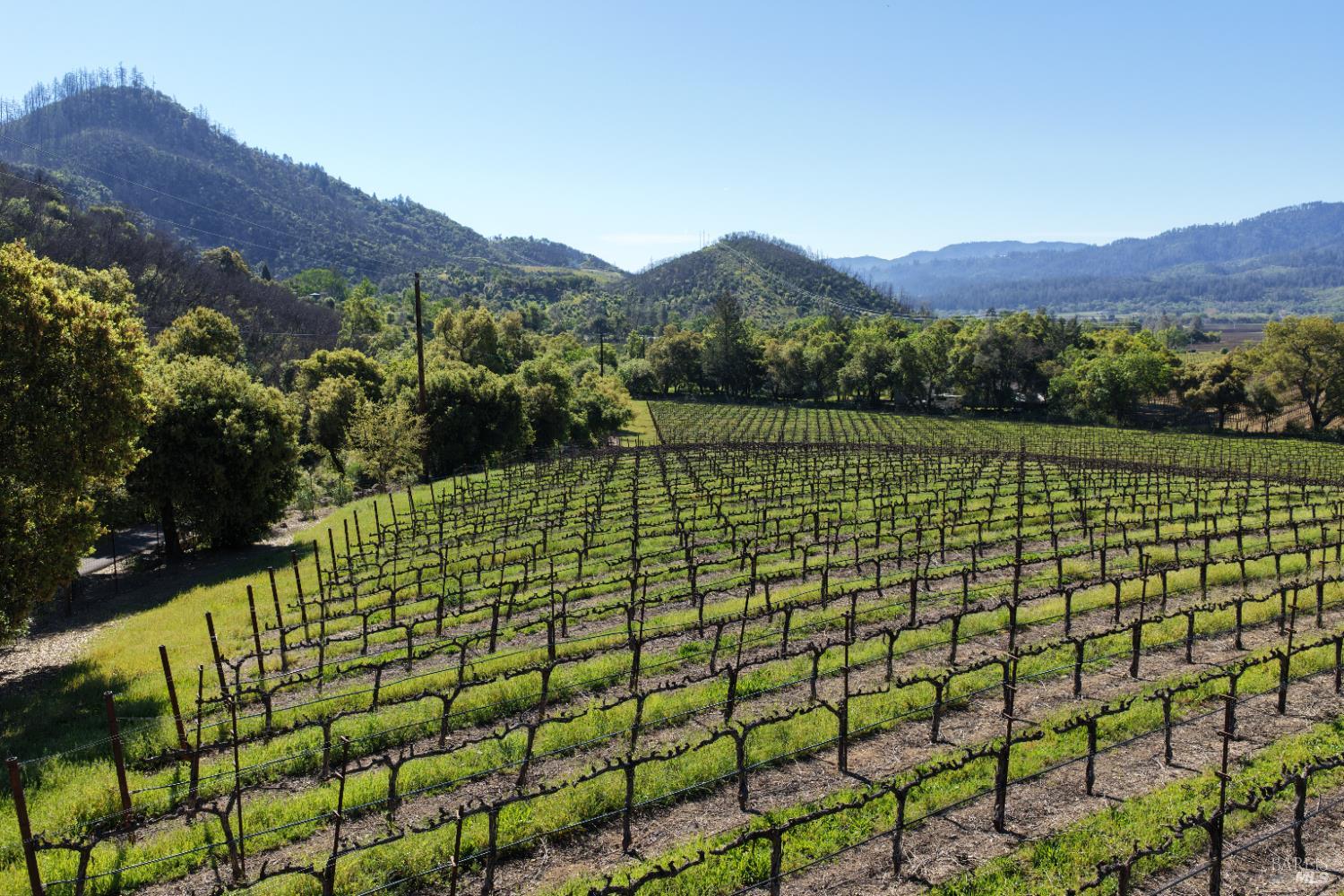 255 Dutch Henry Canyon Road