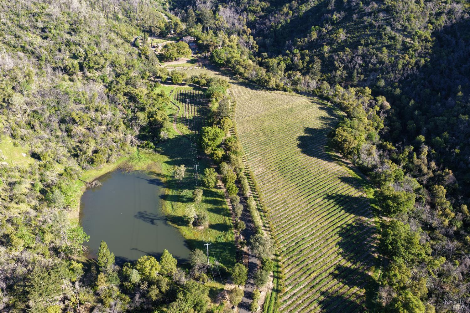 255 Dutch Henry Canyon Road