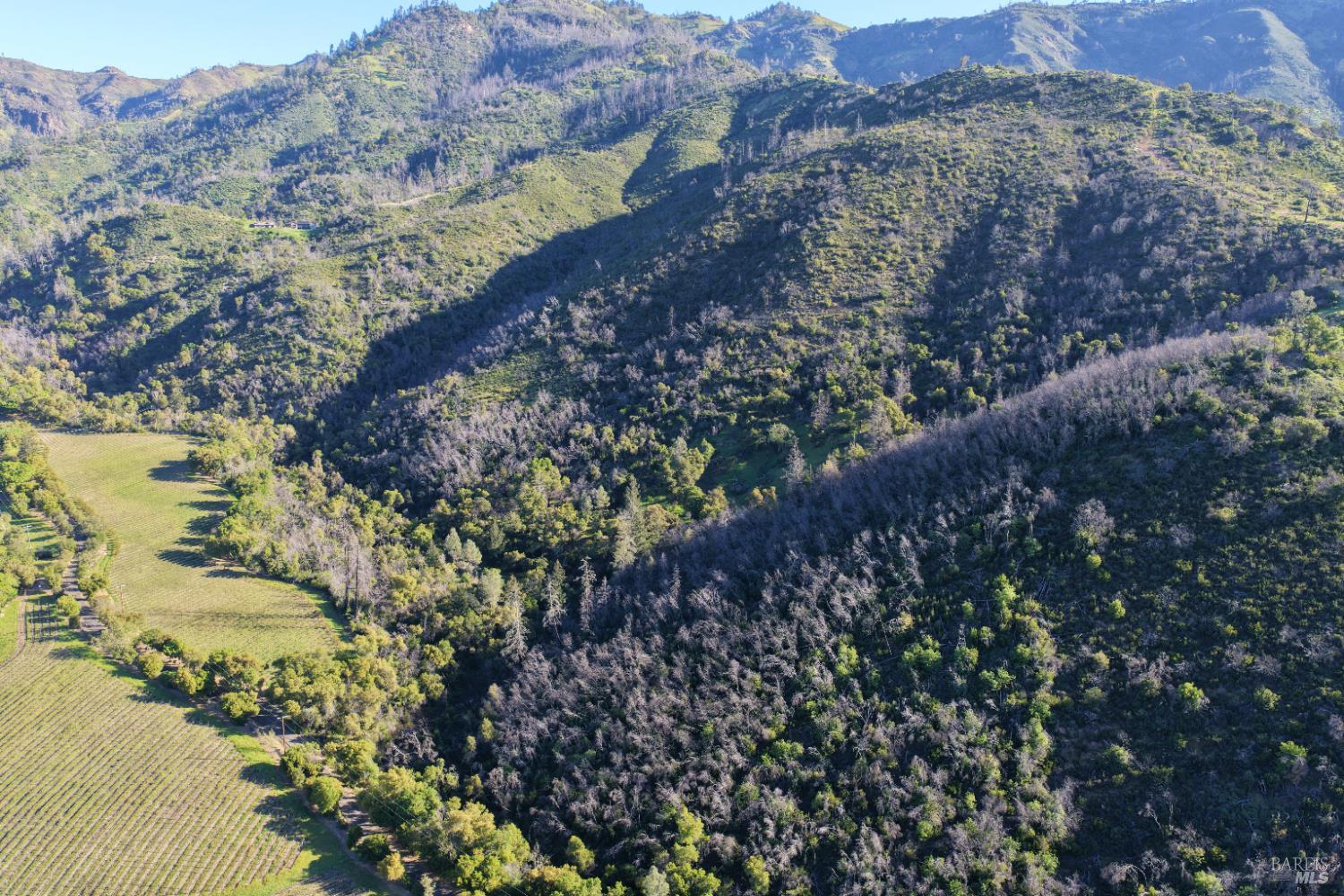 255 Dutch Henry Canyon Road