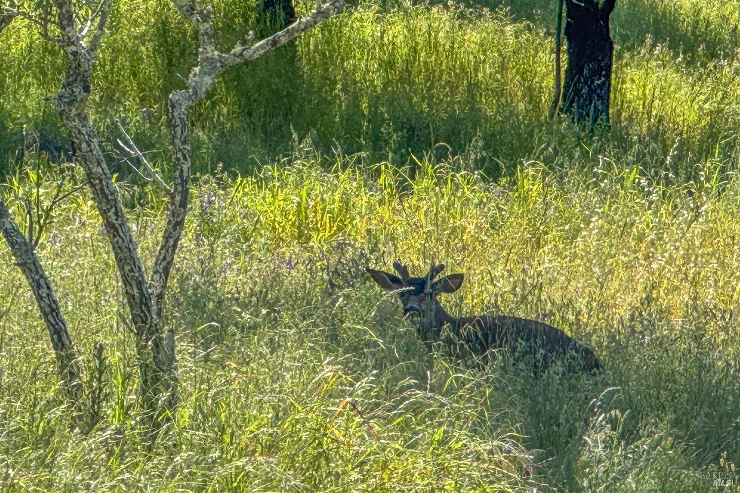 27 Sao Augustine Way