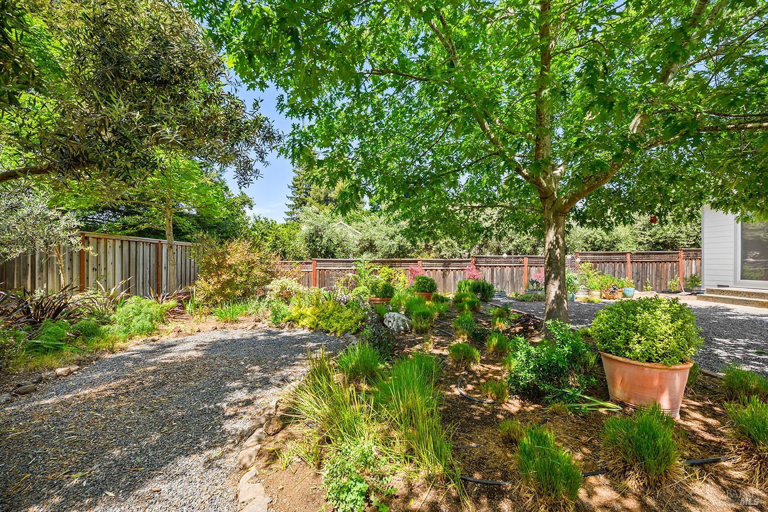 997 Lupine Court