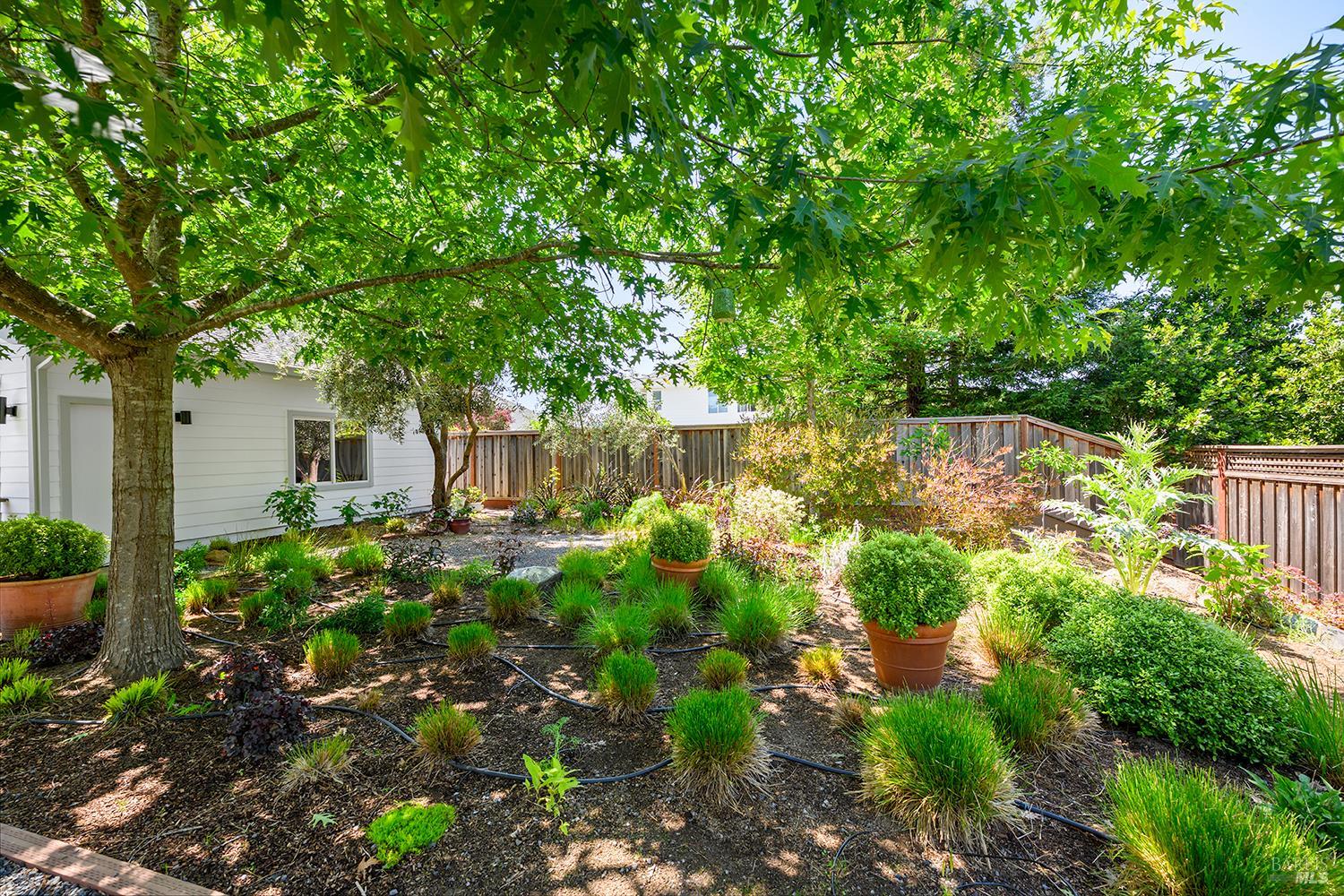 997 Lupine Court