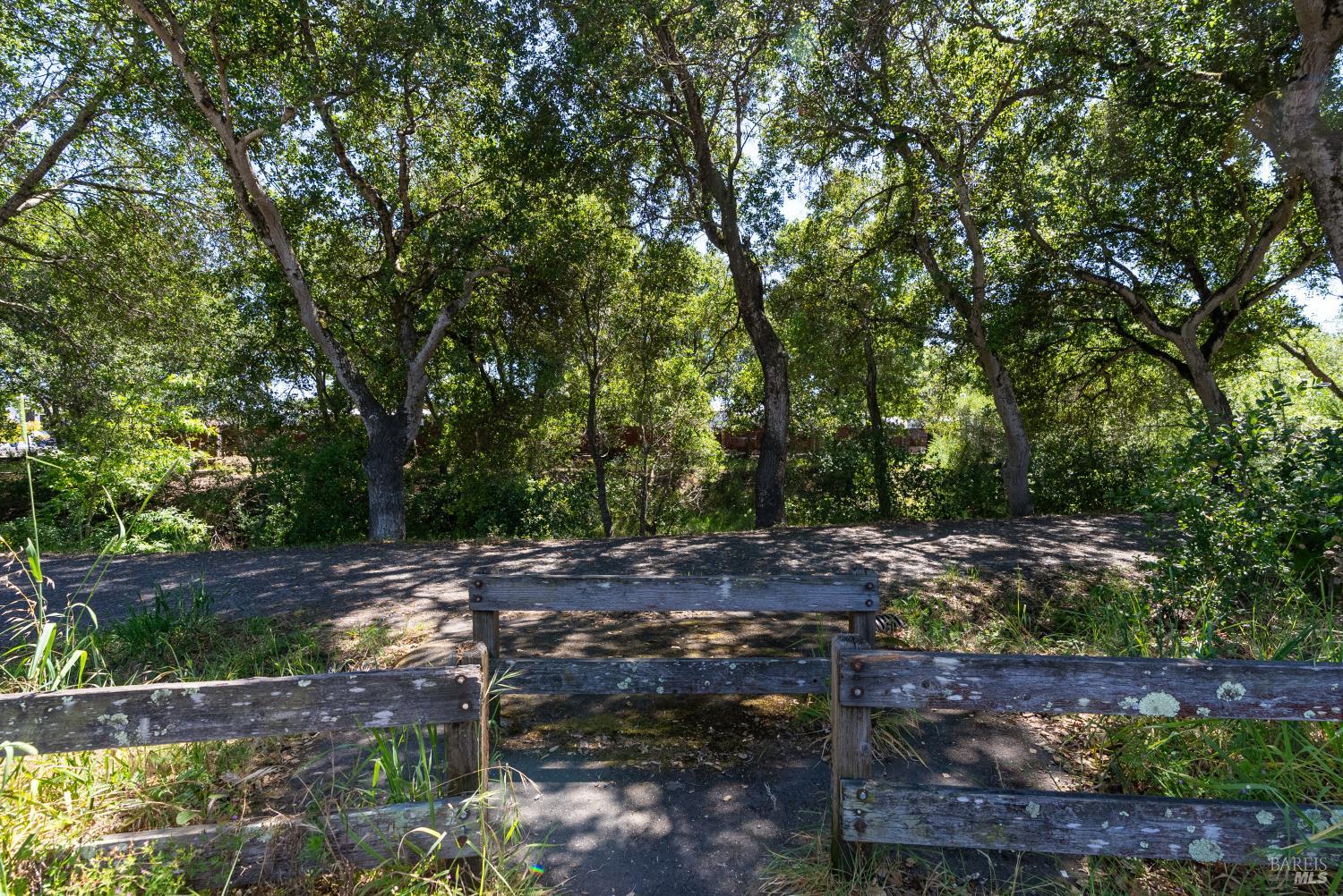 1295 Peterson Lane