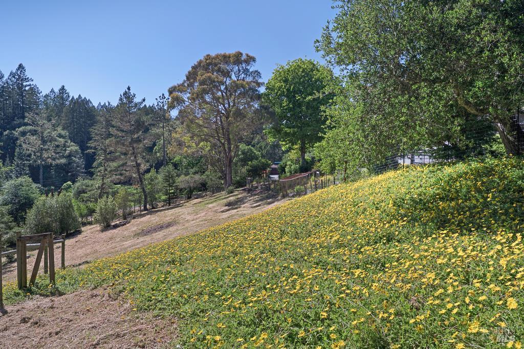 15555 Bittner Road