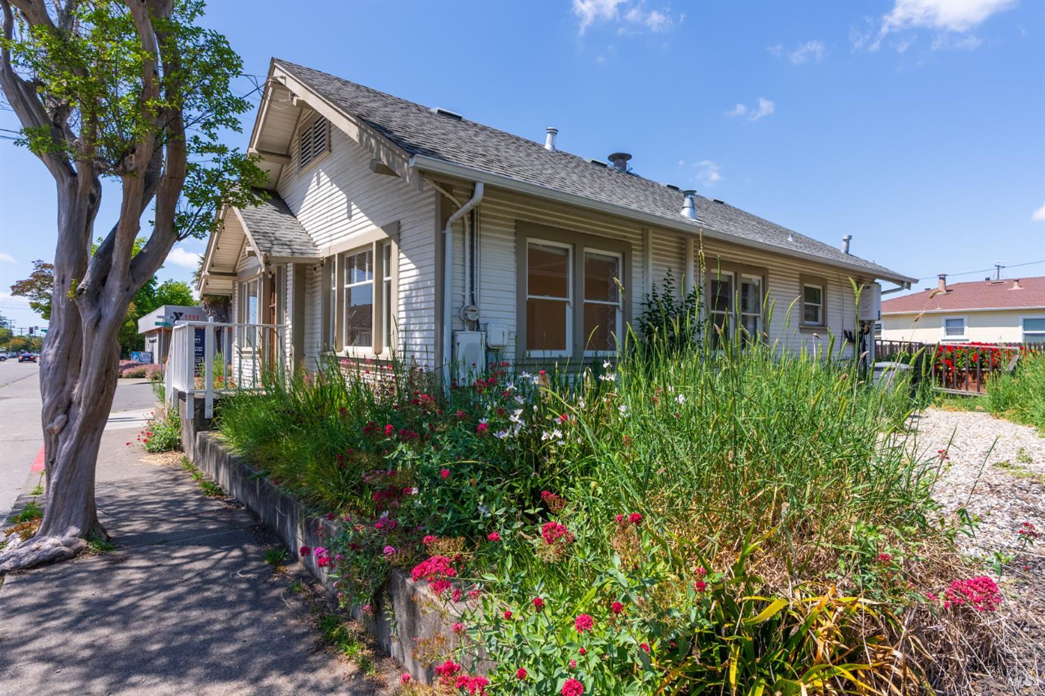 1203 College Avenue