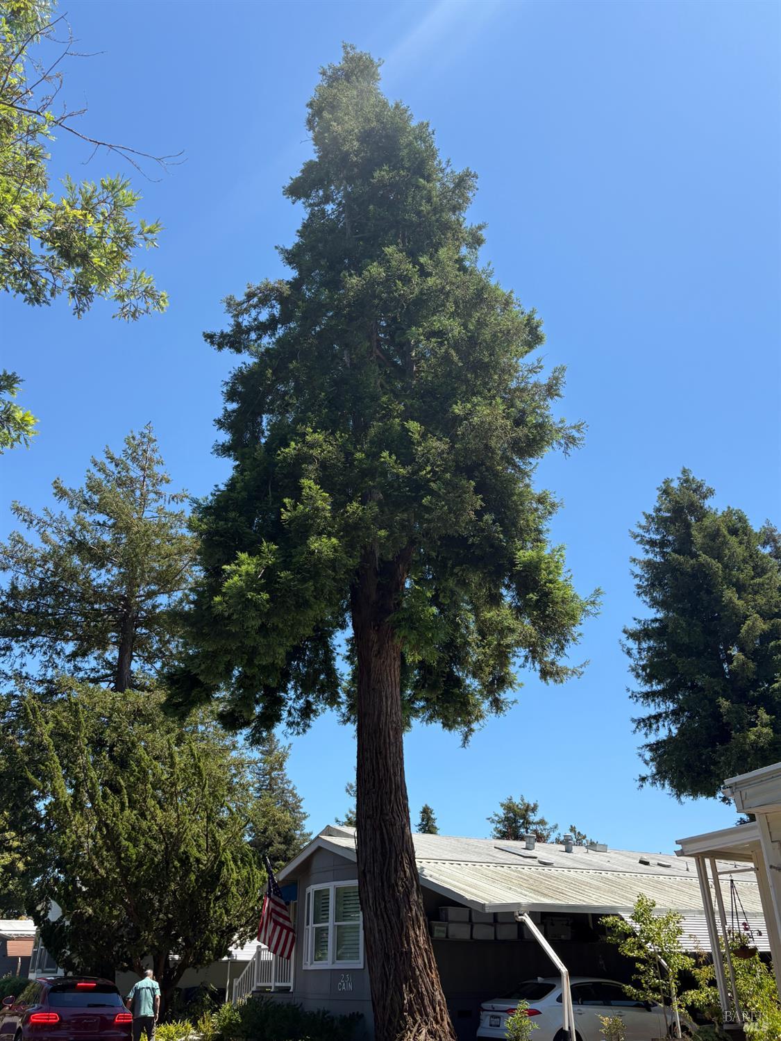 237 Petaluma Way