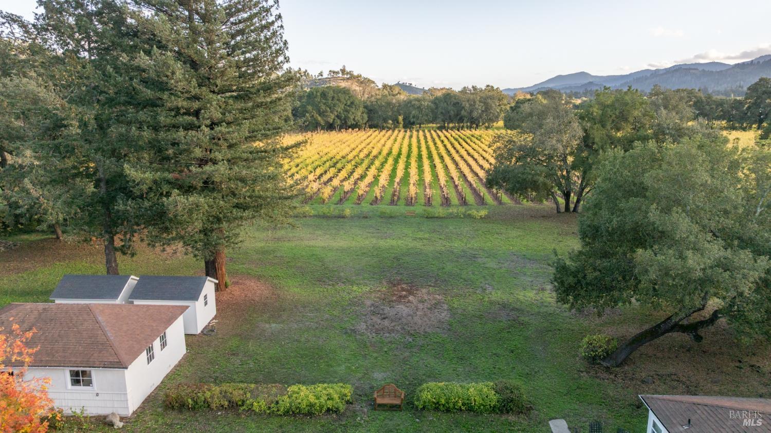 1015 Bale Lane