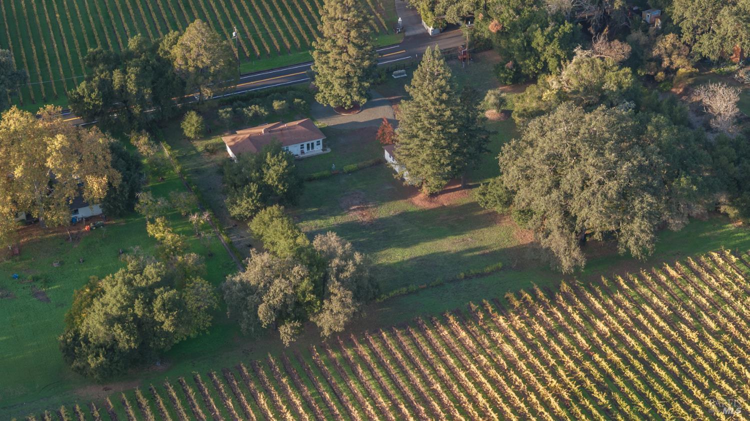 1015 Bale Lane