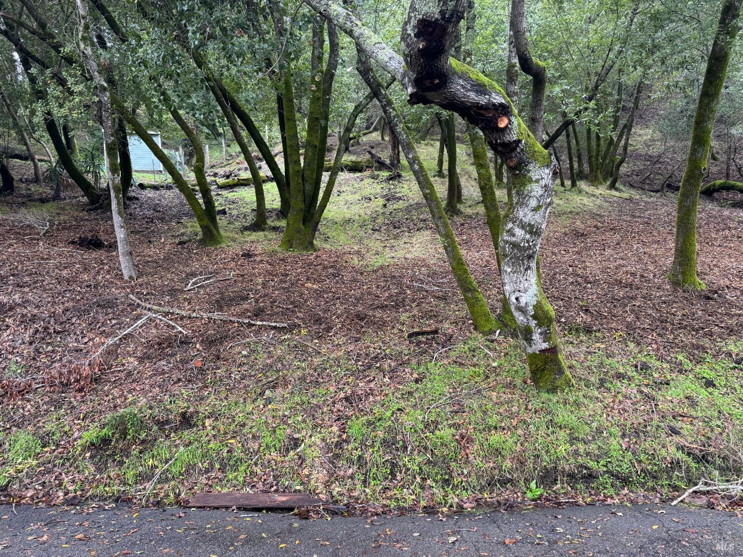 0 Cypress Drive