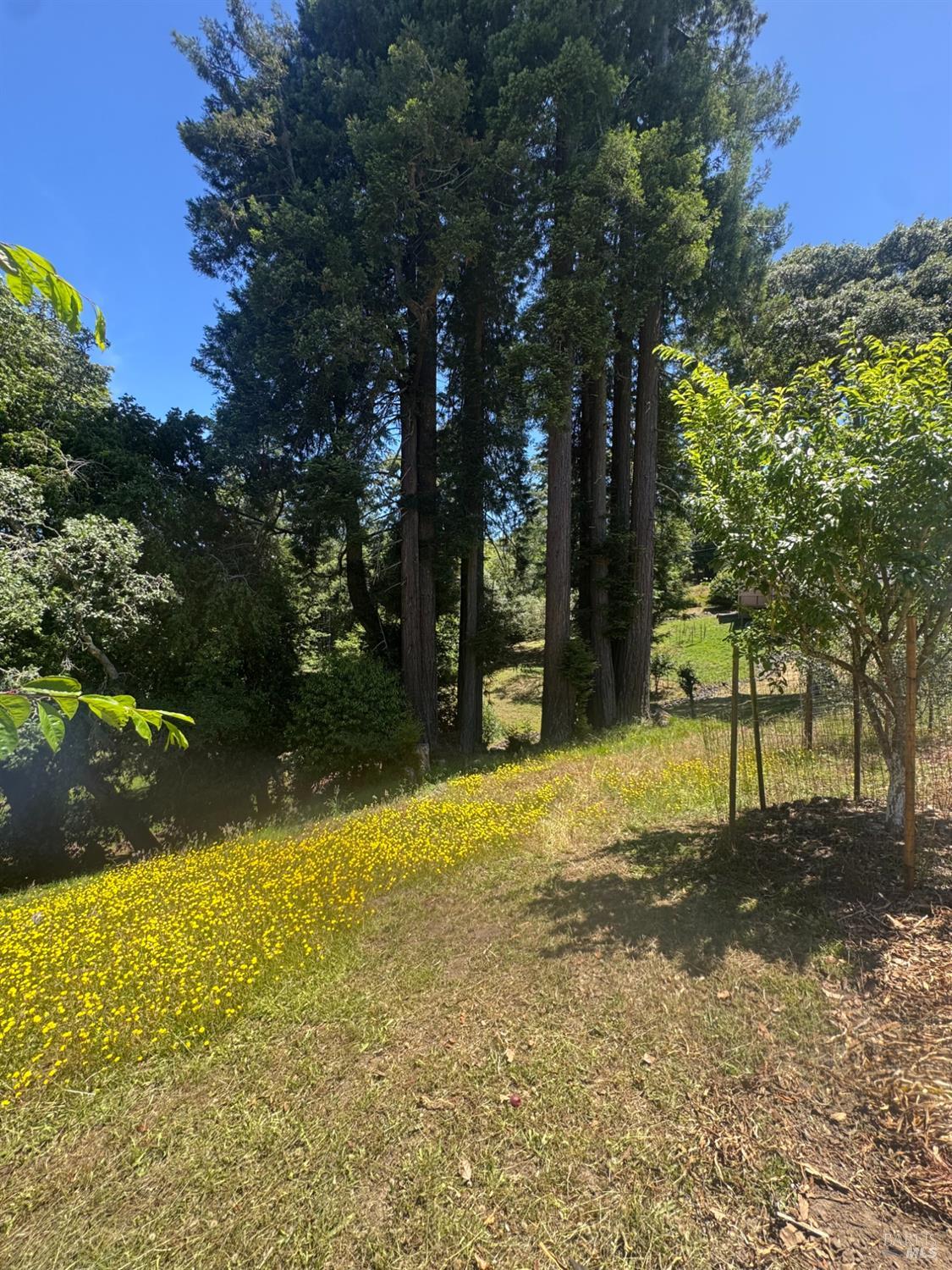 10960 Barnett Valley Road