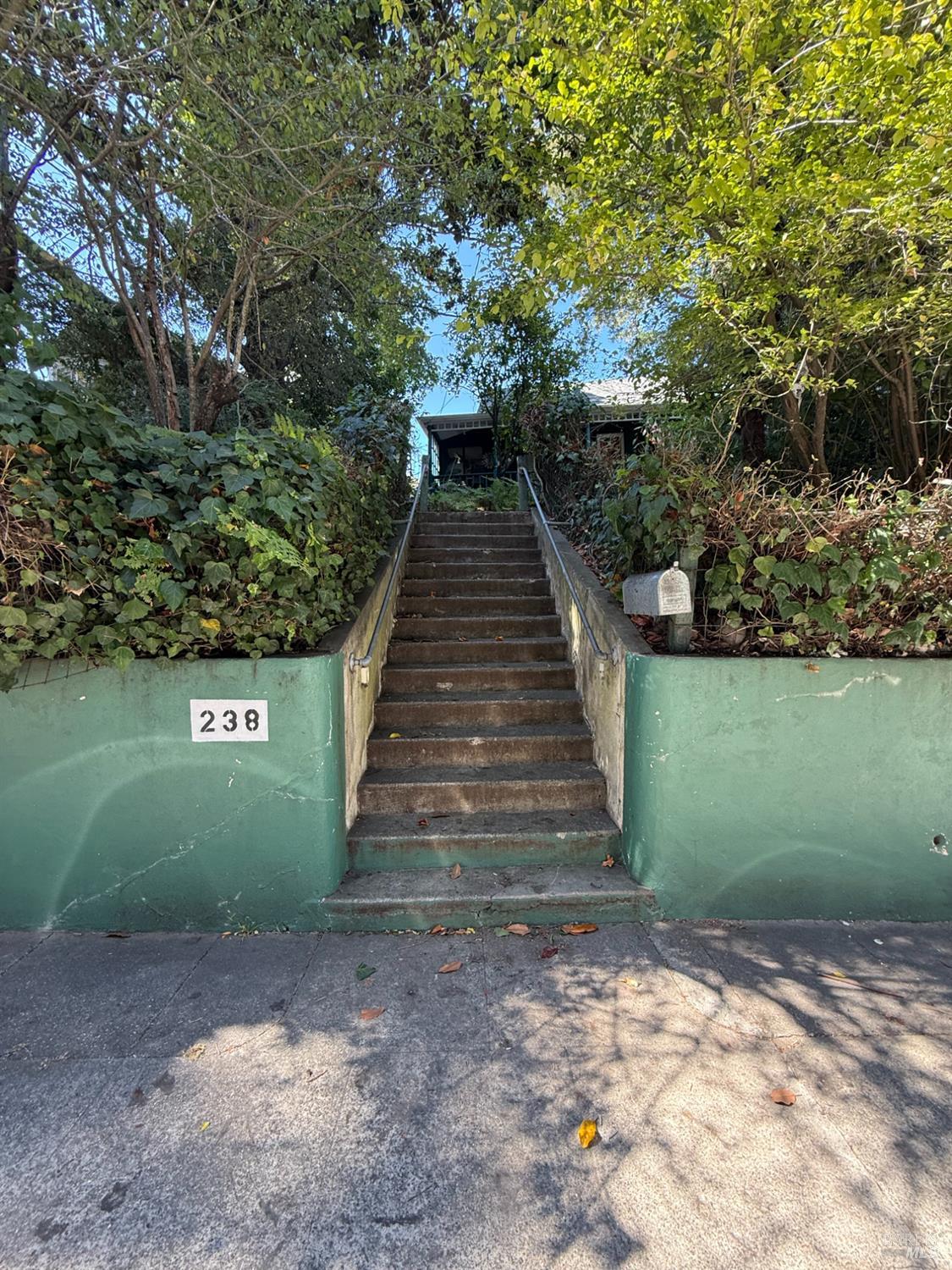 Concrete steps lead through leafy greenery to the house at 238 Throckmorton Avenue.
