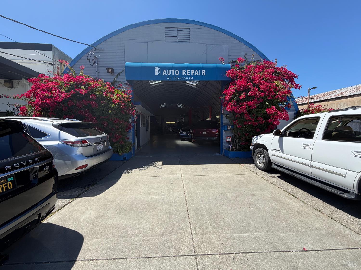 43 Tiburon Street