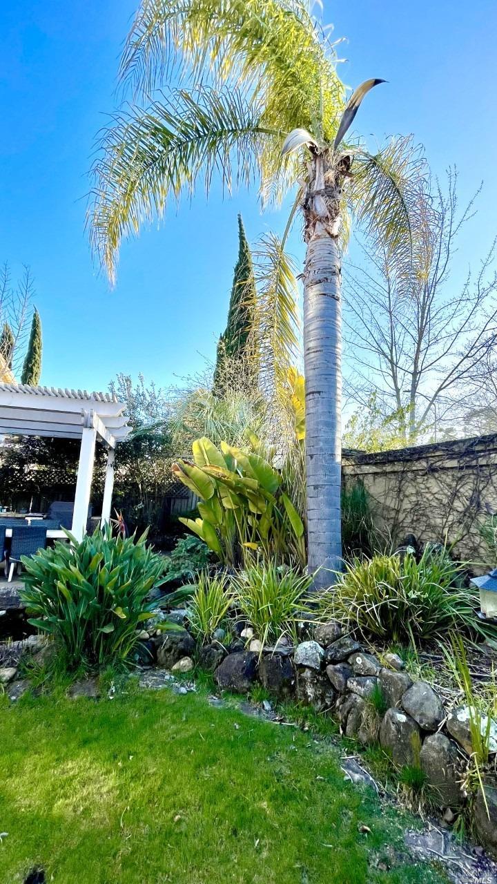 41 Presidio Drive