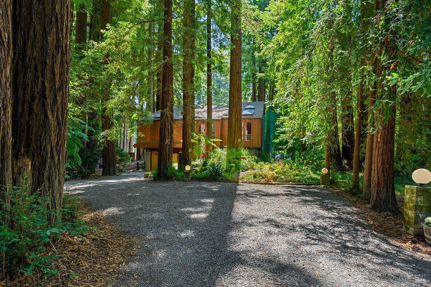 Wood-sided home nestled among redwoods, with a gravel driveway and globe garden lights.
